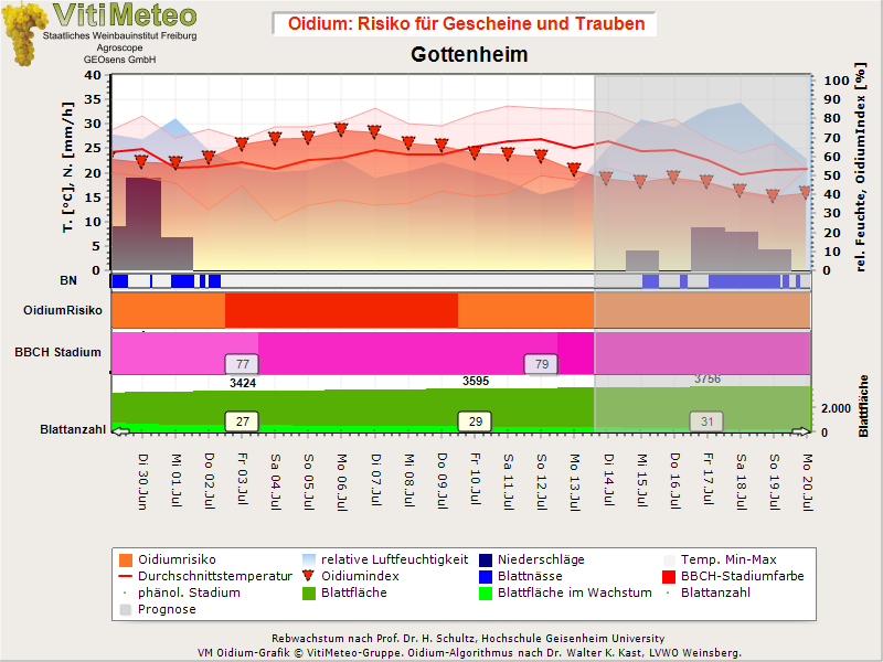 Oidiumgrafik