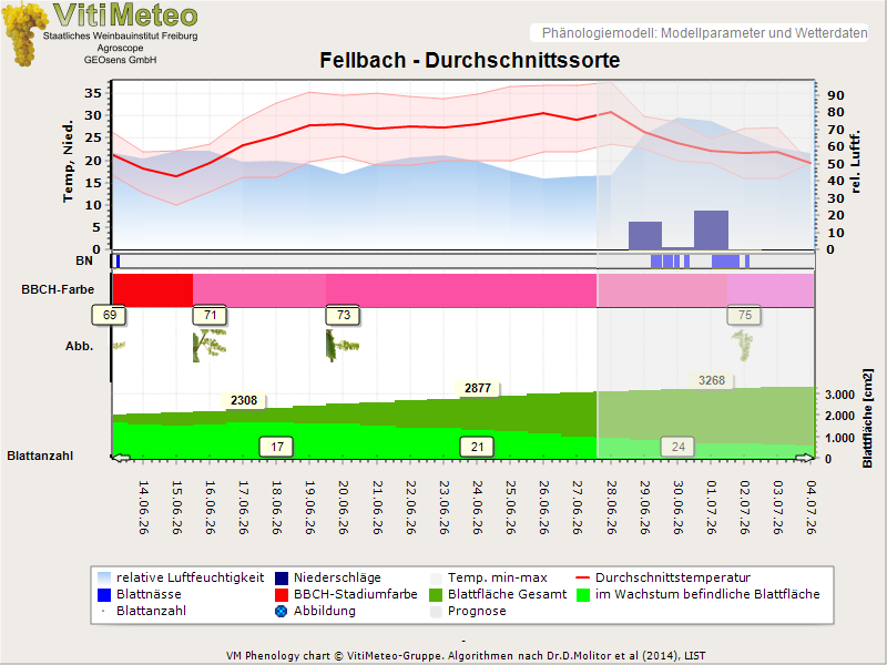 Perografik
