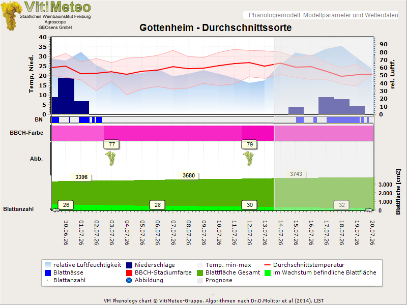 Perografik
